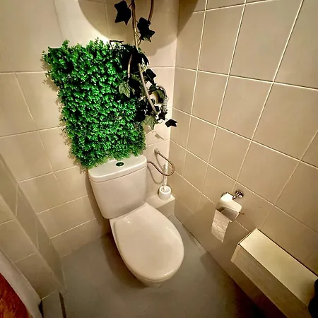 Quiet Comfort Walk Everywhere Varna