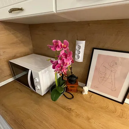 Quiet Comfort Walk Everywhere * Várna