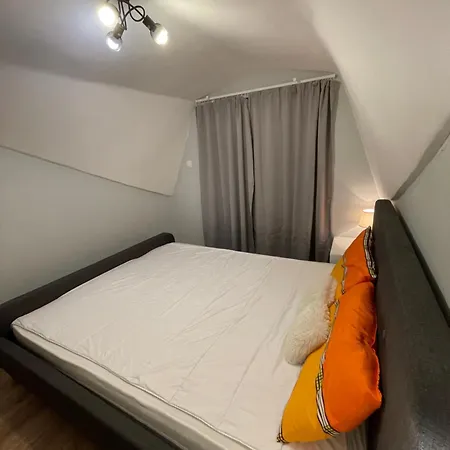 Quiet Comfort Walk Everywhere